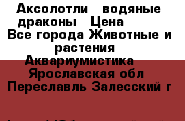 Аксолотли / водяные драконы › Цена ­ 500 - Все города Животные и растения » Аквариумистика   . Ярославская обл.,Переславль-Залесский г.